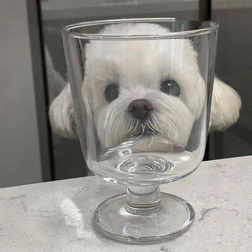 小狗酒杯头像
