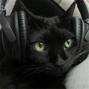 猫戴黑色耳机头像