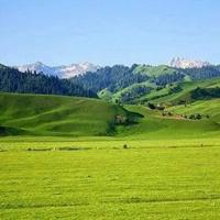 新疆风景图片高清头像