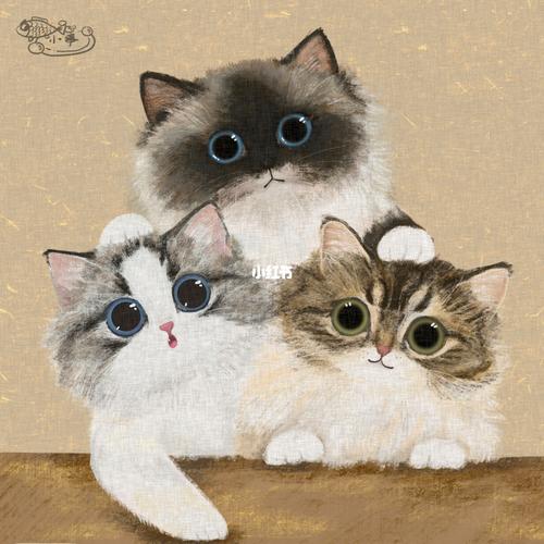 三只猫咪一起头像