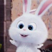 微信头像是兔子应取什么名字
