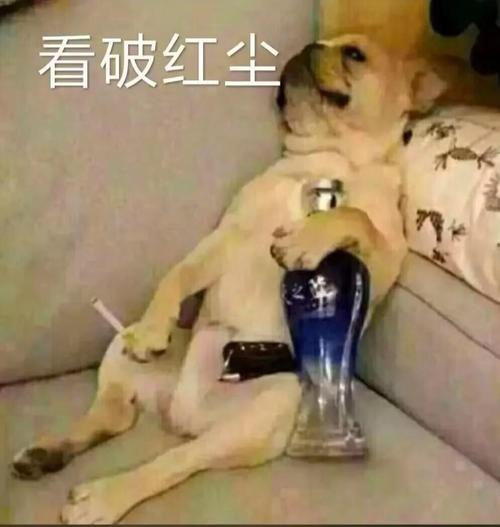 狗叼烟喝酒头像