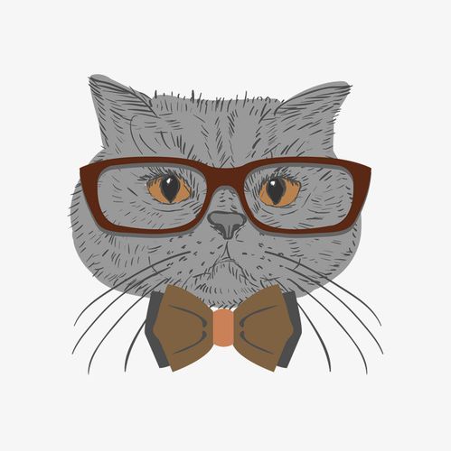2021猫霸气戴眼镜头像