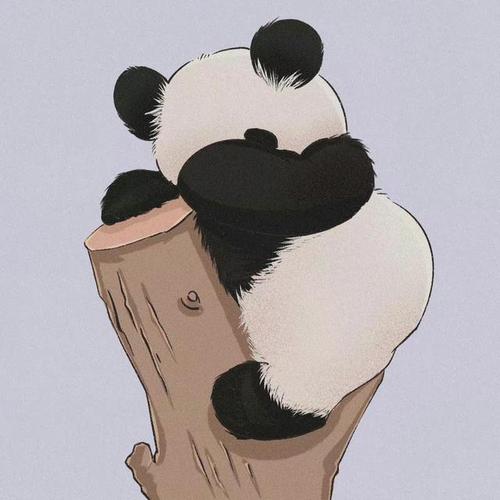 最流行的大熊猫头像