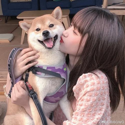 女生抱一只小狗的情侣头像