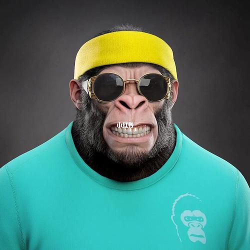 猩猩的头像是什么样子
