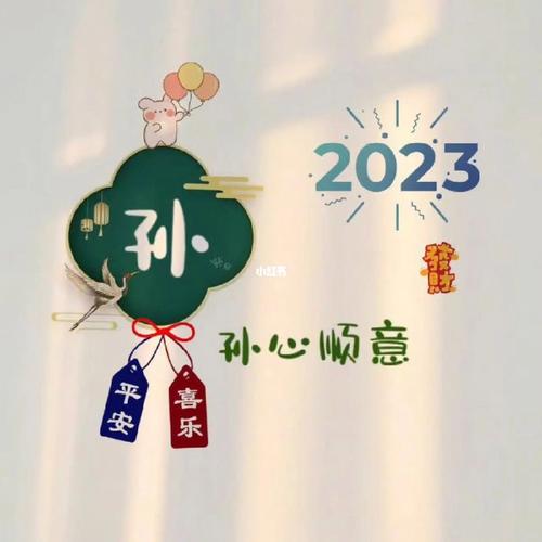 2023新年孙姓氏卡通头像女