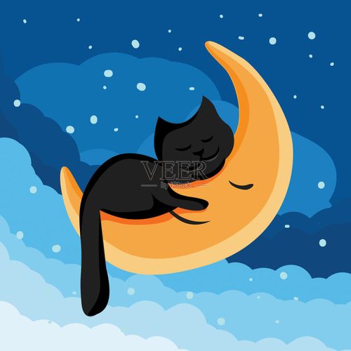 月亮下的猫咪动漫头像