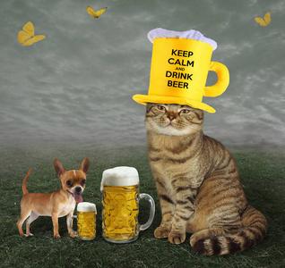 小猫抱着啤酒头像
