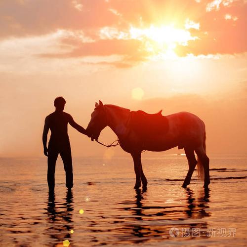 海边骑马头像图片