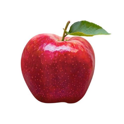 苹果头像真实无字