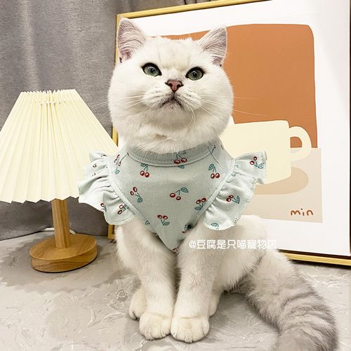 猫的头像是什么牌子衣服