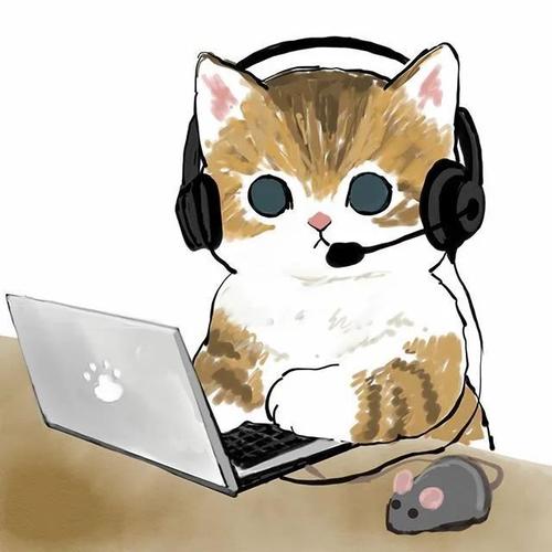 猫咪敲电脑头像