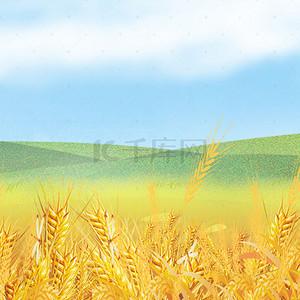 稻田背景图头像