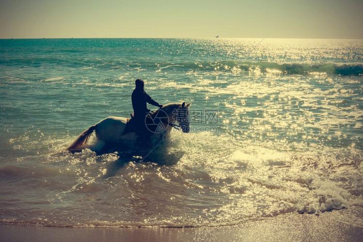 骑白马头像沙滩
