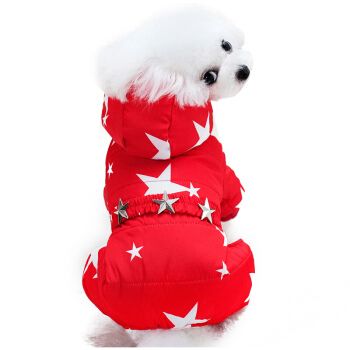 套红色塑料袋的小狗在雨中头像