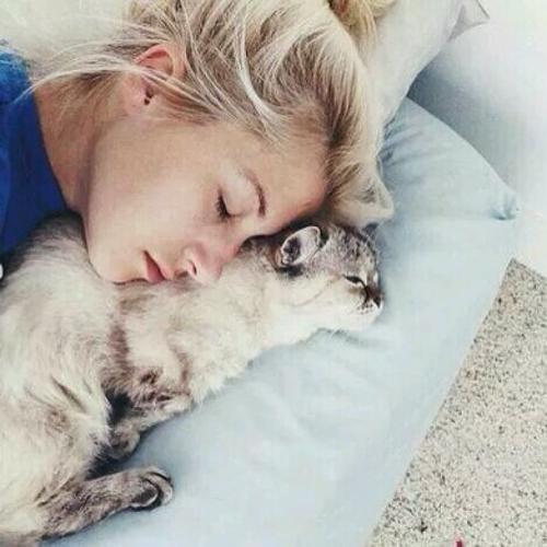 一个女孩抱住猫的头像