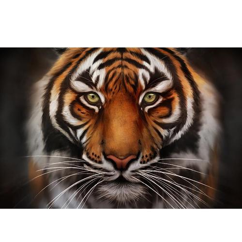 动物图片头像老虎