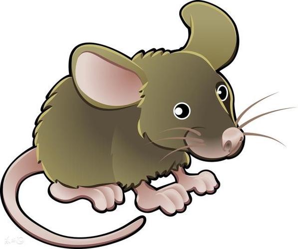 2021年鼠的微信头像图片