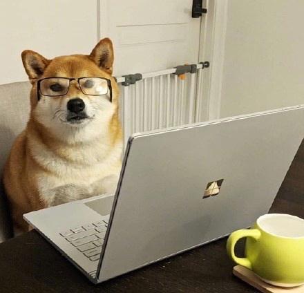 狗狗晚上电脑旁工作的头像