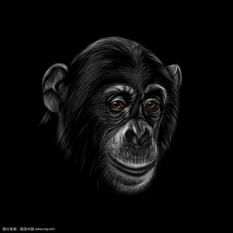 黑猴子脸头像