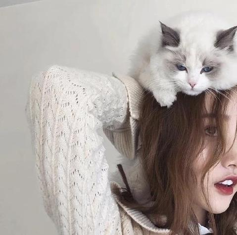 一个女的抱一只猫的头像