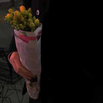 情侣头像男的拿着一朵花