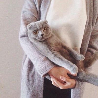微信头像女人抱着猫咪吉利吗