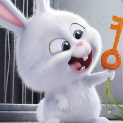可爱兔子图片微信头像