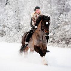 雪地里骑马头像