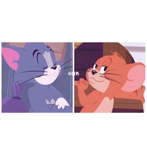 猫和老鼠无背景情侣头像
