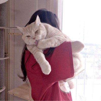 头像是一个女生抱着猫的头像