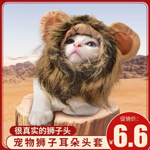 猫咪狮子头头像