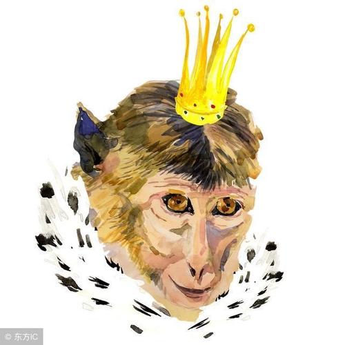 2022年最适合属猴的微信头像