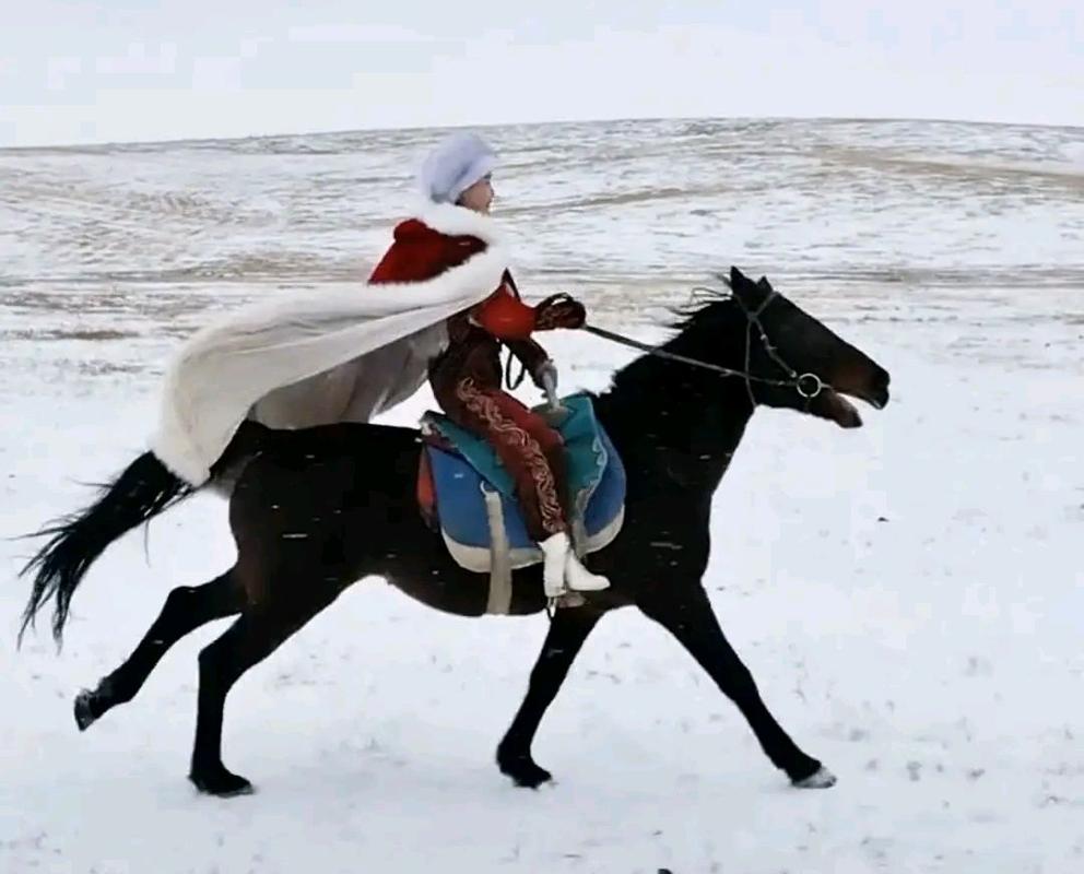 雪地里骑马头像
