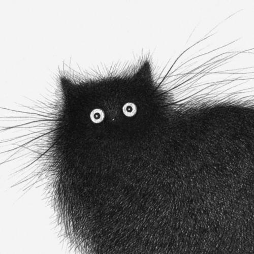 黑色猫咪情侣头像图片