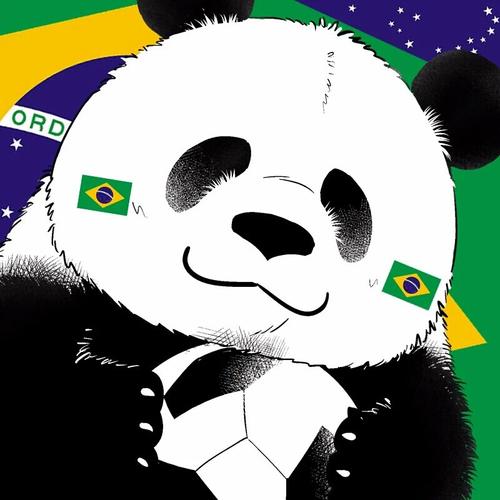 巴西小球迷头像