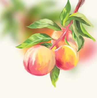 桃子的头像手绘