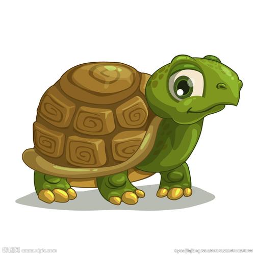 龟龟最帅的头像