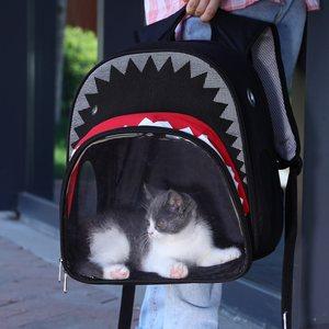 小猫咪背包行李箱头像