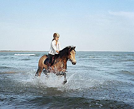 海边骑马头像图片