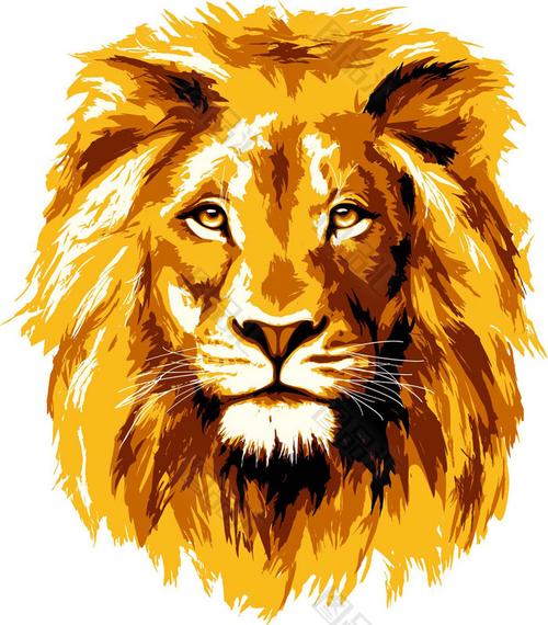 狮子头像简约干净微信手绘