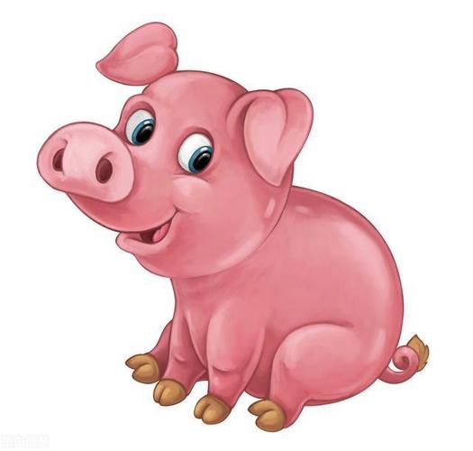 生肖属猪的最好用的微信头像