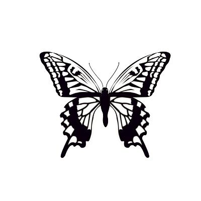 蝴蝶头像黑白色