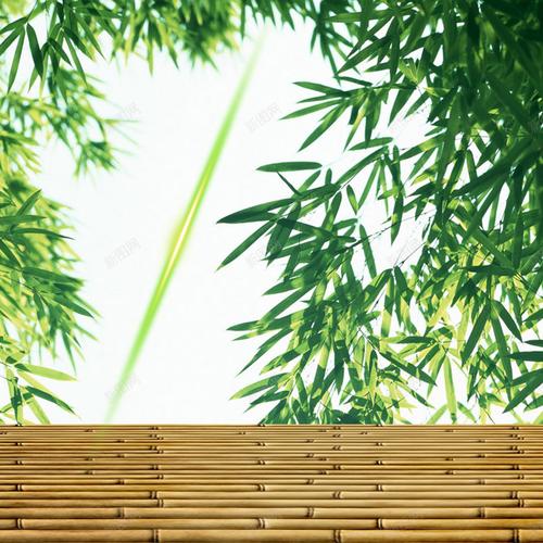 竹子背景的彭字的头像