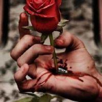 手握玫瑰流血的头像