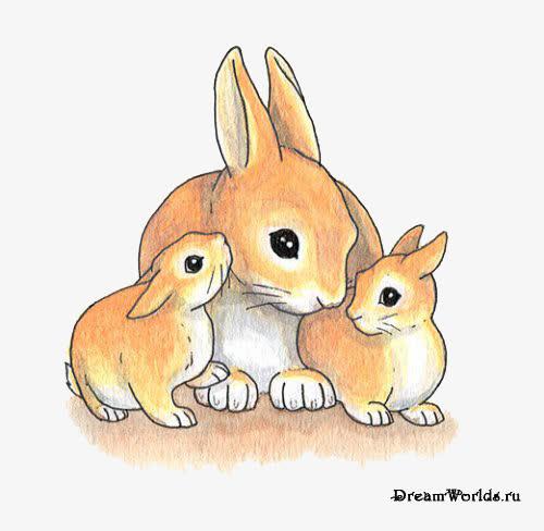 兔宝宝跟妈妈头像