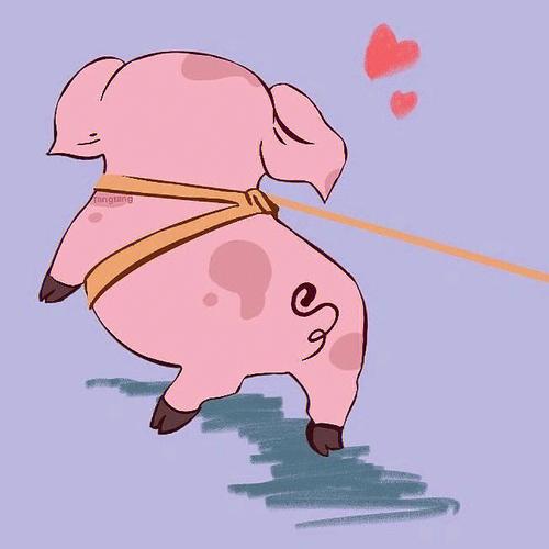 猪猪头像情侣专用图文
