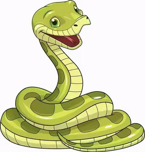 蛇最好的头像