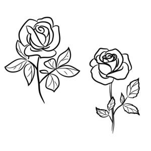 黑玫瑰与白玫瑰的闺蜜头像